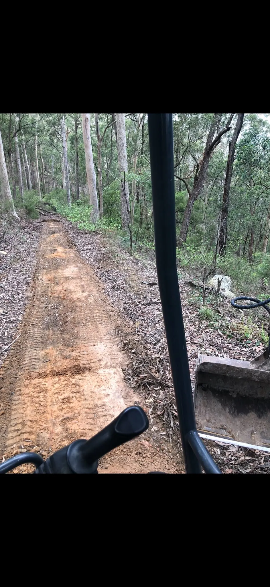 Earth track through bushland