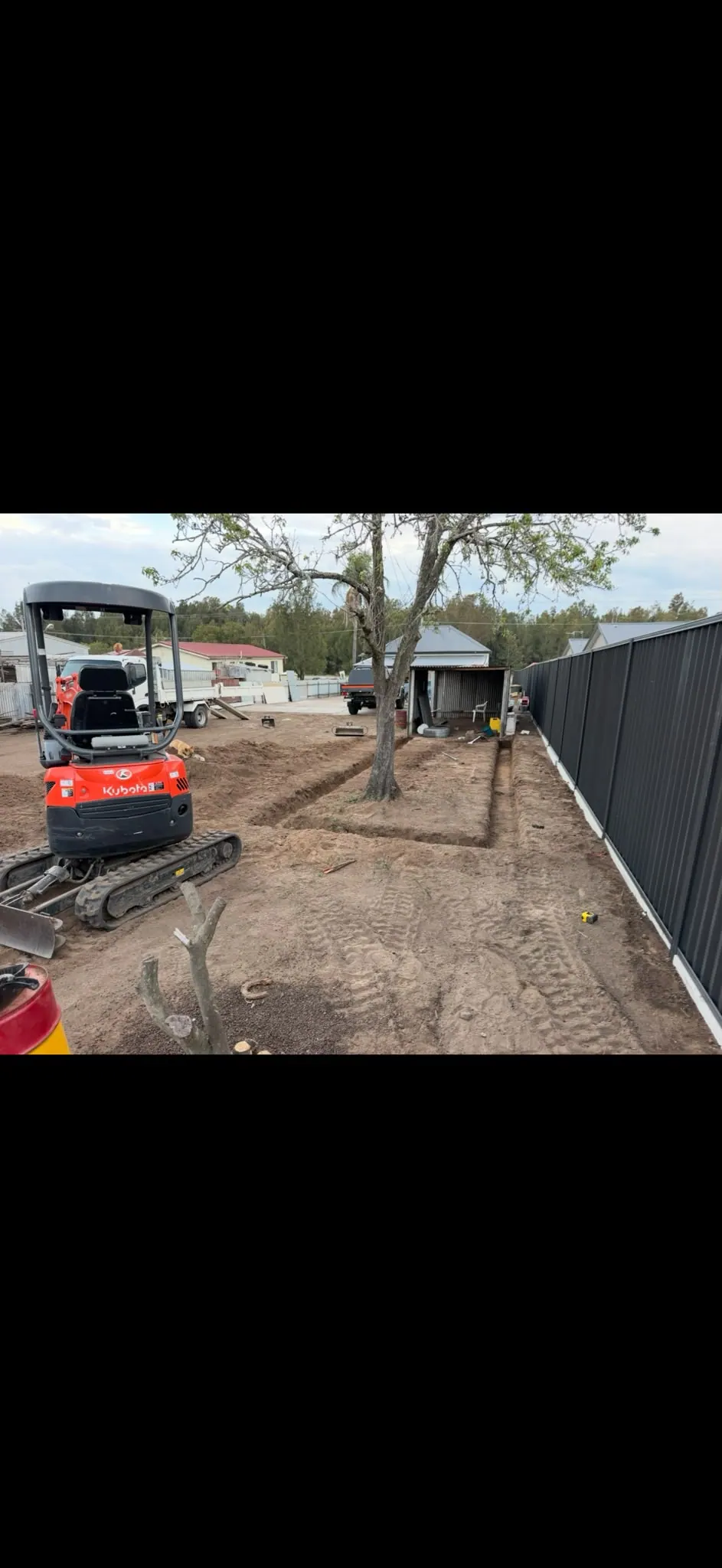 Backyard excavation around an existing tree